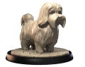 HAVANESE.png