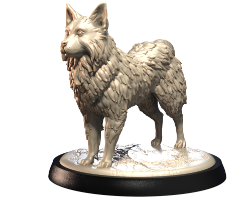 ICELANDIC SHEEPDOG.png