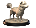 KOKONI.png
