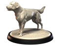 LABRADOR.png