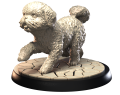 MALTESE BICHON.png