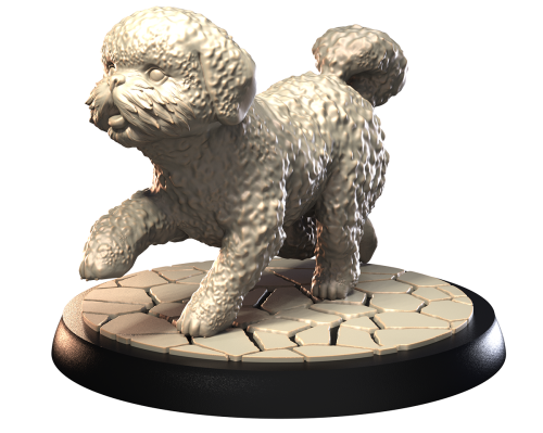 MALTESE BICHON.png