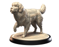 NEWFOUNDLANDER.png