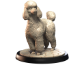 POODLE.png