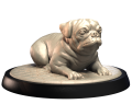 PUG.png