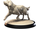RETRIVIER.png