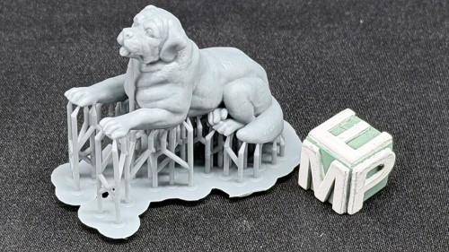 35130192_Saint Bernard.jpg