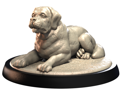 SAINT BERNARD.png