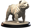 SHAR PEI.png