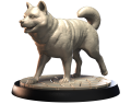 SHIBA.png