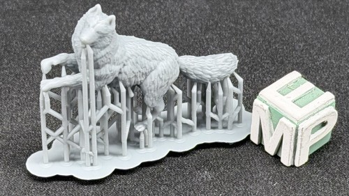 35130195_Siberian Husky.jpg