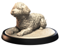 SPANISH WATER DOG.png