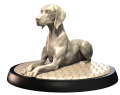 WEIMARANER.png