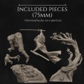 Michiko_Sizes-2.jpg