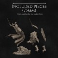 NK_Nastasya The Shield Maiden_Sizes 75mm.jpg