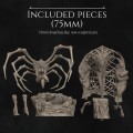 Sizes-2.jpg