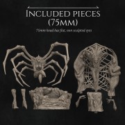 Sizes-2.jpg