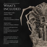Whats included.jpg