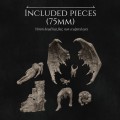 WhatHaveIBecome_Sizes-2.jpg