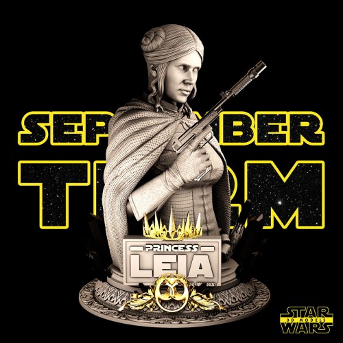 092221 Star Wars - Leia Promo 03.jpg