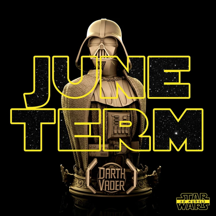 060921 Star Wars - Darth Vader Bust 01.jpg