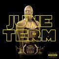 060921 Star Wars - Darth Vader Bust 02.jpg