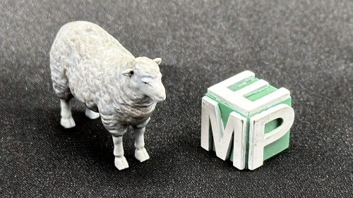 35130301_Owca.jpg