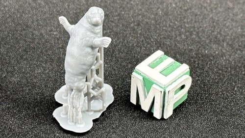 35130209_FokaMała_1-35.jpg