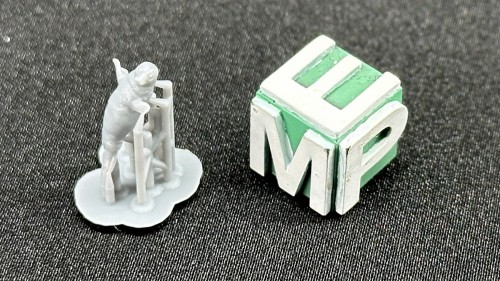 72130209_FokaMała_1-72.jpg