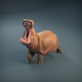 35130212_resize-hippopotamus-2.jpg