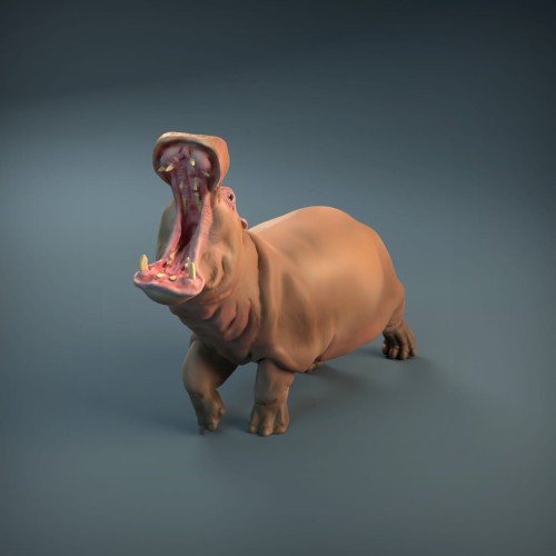 35130212_resize-hippopotamus-2.jpg