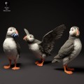 35130522_atlantic_puffins_3.jpg