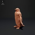 35130524_resize-gentoo-penguin-1.jpg