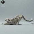 35130216_resize-snow-leo-stretch-1.jpg