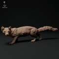 resize-pine-marten-3.jpg
