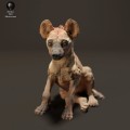 35130217_resize-spotted-hyena-cub-3.jpg