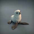 35130218_resize-baby-seal-1.jpg