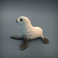 35130218_resize-baby-seal-6.jpg