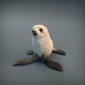 35130218_resize-baby-seal-7.jpg