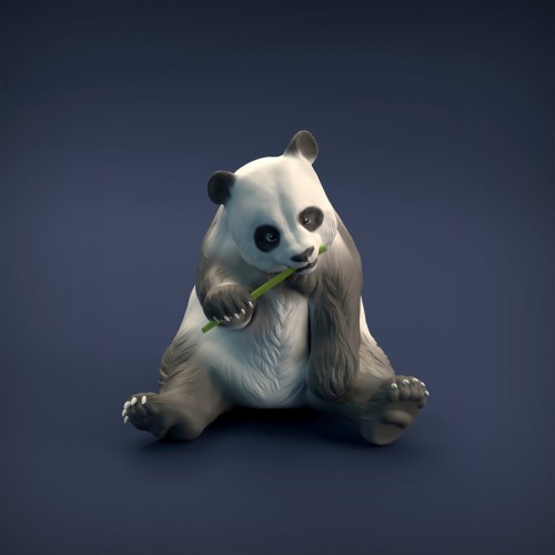 35130220_resize-panda-1.jpg