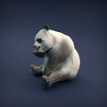 35130220_resize-panda-3.jpg