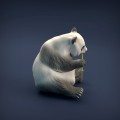 35130220_resize-panda-6.jpg