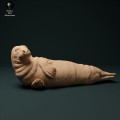 35130210_seal_male_2.jpg
