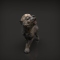 35130415_resize-wolf-pup1.jpg
