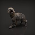 35130415_resize-wolf-pup2.jpg