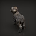 35130415_resize-wolf-pup3.jpg