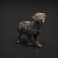 35130415_resize-wolf-pup5.jpg