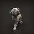 35130415_resize-wolf-pup7.jpg