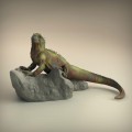35130224_resize-iguana.jpg