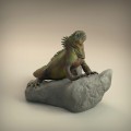 35130224_resize-iguana3.jpg